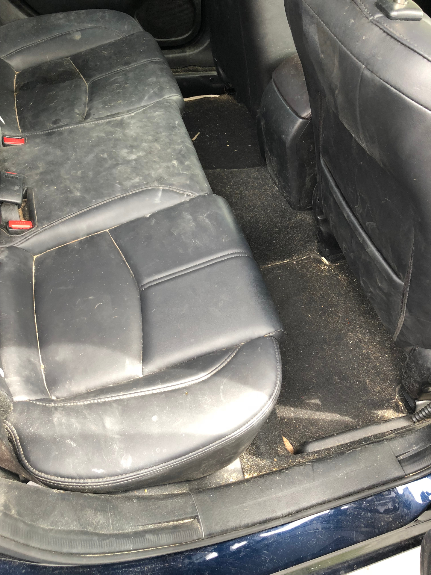 Mazda CX-90 Interior — Rear Seats Before